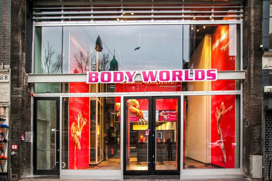 Body Worlds Amsterdam: The Happiness Project Ticket - Key points to know before you go