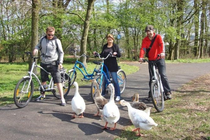 Cheese, Canals & Windmill Countryside E-Bike Tour Amsterdam - How hard is the e-bike ride?
