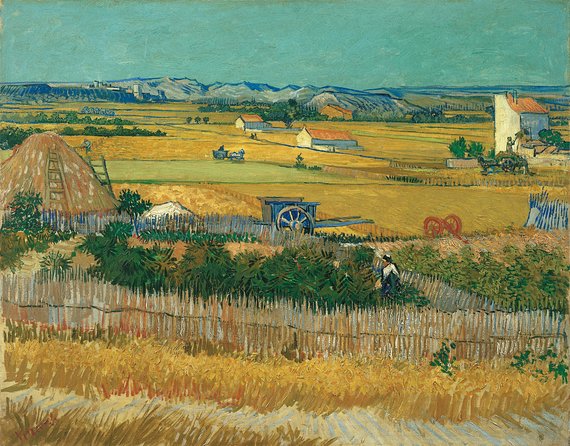 Combo Ticket: Van Gogh Museum Ticket and 1-Hour Canal Cruise - Price and Value at $45.18