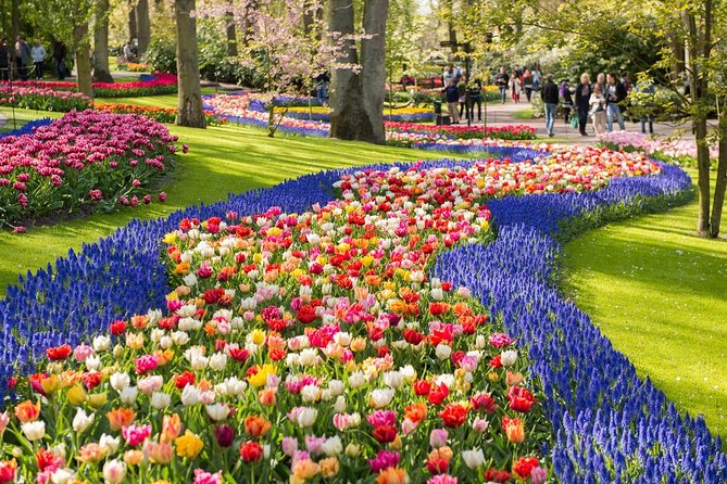 Day Trip to Keukenhof Gardens from Amsterdam with Tour Guide - Why Keukenhof makes a worthwhile half-day from Amsterdam