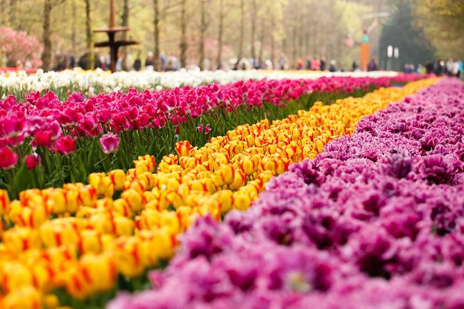 Day Trip to Keukenhof Gardens from Amsterdam with Tour Guide - The ride out and the first garden orientation