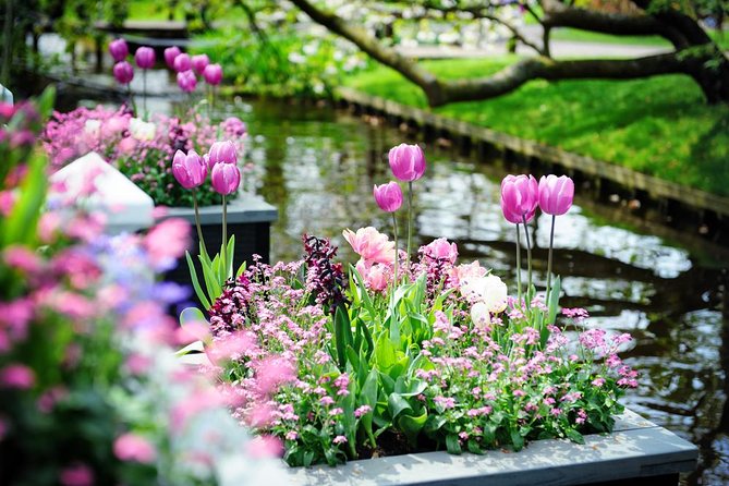 Day Trip to Keukenhof Gardens from Amsterdam with Tour Guide - How the guide affects the value