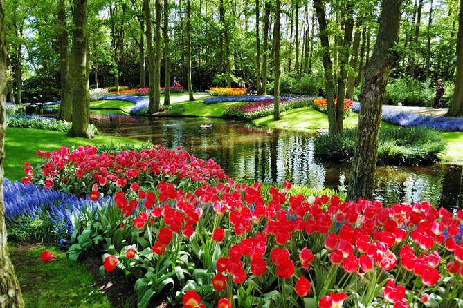 Day Trip to Keukenhof Gardens from Amsterdam with Tour Guide - Crowds, weather, and the best way to pace yourself