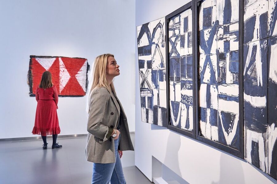 Den Bosch: Het Noordbrabants Museum Entry Ticket - Who will enjoy this museum most