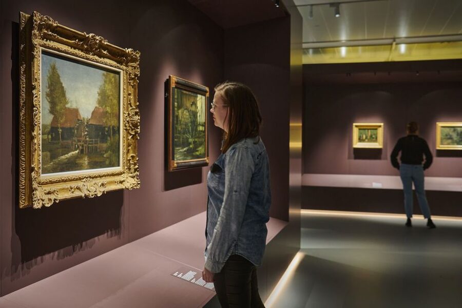 Den Bosch: Het Noordbrabants Museum Entry Ticket - The Bruegel family and the permanent collection