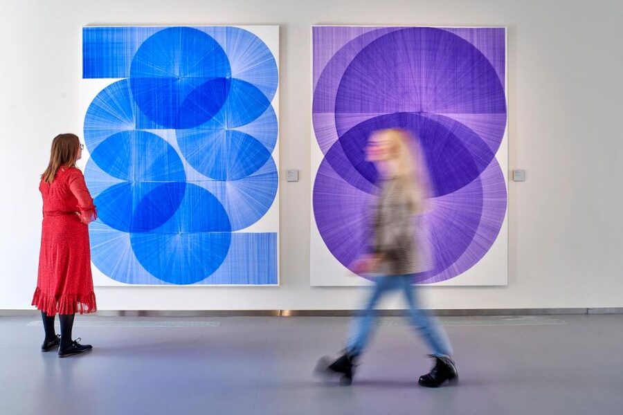 Den Bosch: Het Noordbrabants Museum Entry Ticket - Temporary exhibitions and new artistic voices