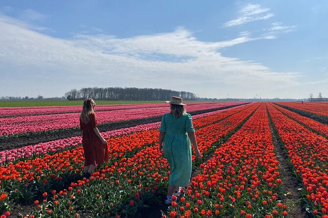 Discover Holland’s Beautiful Tulip Fields with an Expert Guide - Onderdijk combines lunch with village character