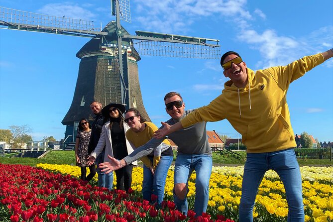 Discover Holland’s Beautiful Tulip Fields with an Expert Guide - Price and value at $163.27