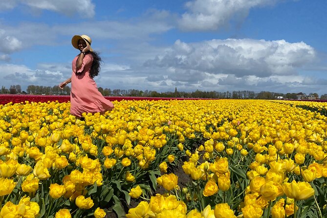 Discover Holland’s Beautiful Tulip Fields with an Expert Guide - The Beemster Polder sets the scene