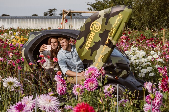 Drive it yourself electric Dune & Summer Flower GPS audio tour - Dunes, beach views, and a route with variety