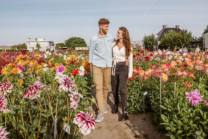 Drive it yourself electric Dune & Summer Flower GPS audio tour - De Tulperij and the dahlia fields