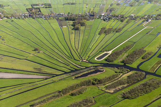 Drive it yourself electric Dutch Countryside GPS audio tour - Flower fields, rural roads, and the short tulip season