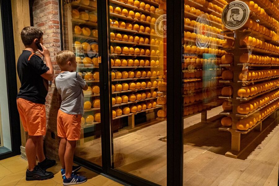 Edam: Edam Cheese Museum Entry Ticket - The $9 ticket and what you get for it