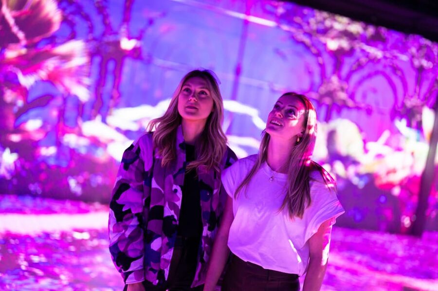 Eindhoven: Motion Experience Light Art Playground Ticket - The Digital Light Show and the Role of Sound