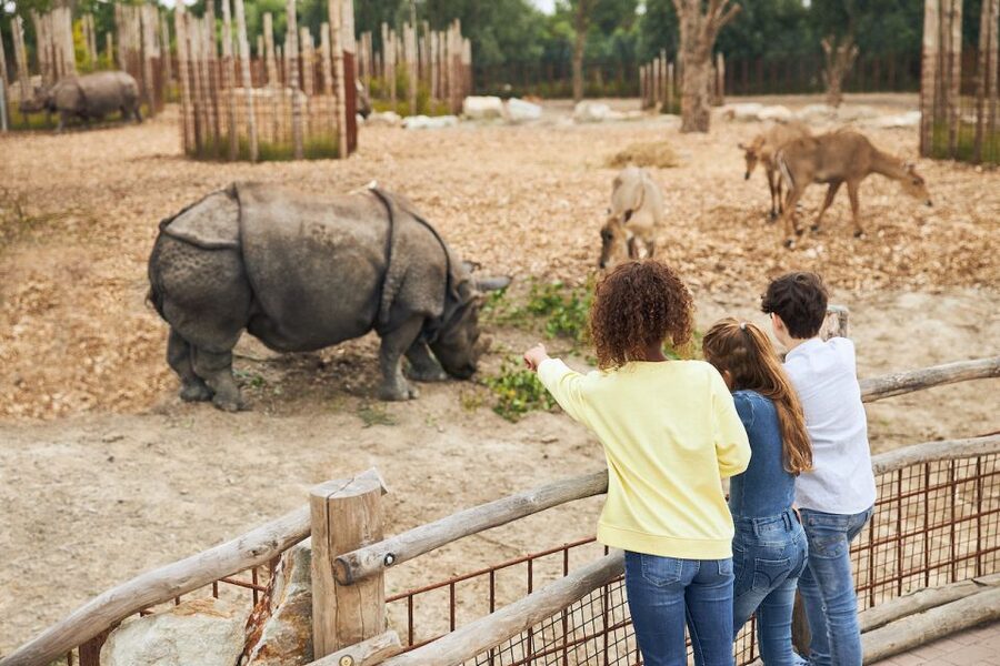 Eindhoven Zoo Entry Ticket - Key points at a glance