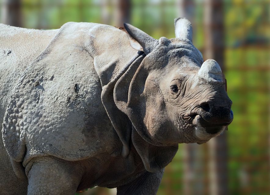 Eindhoven Zoo Entry Ticket - Rhinos and elephants bring the scale