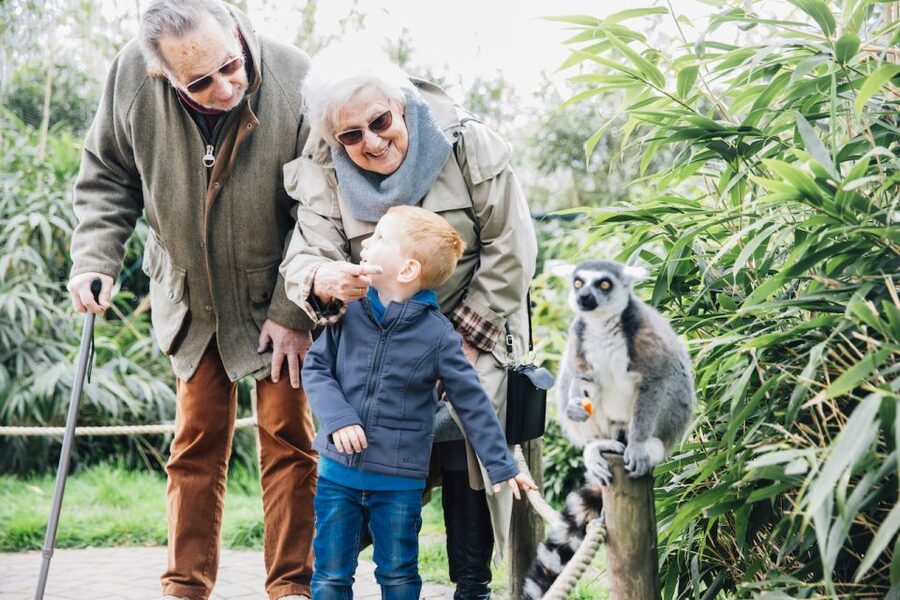 Eindhoven Zoo Entry Ticket - Chimps, red pandas, and meerkats slow the pace