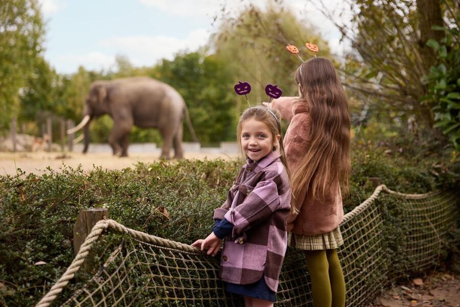 Eindhoven Zoo Entry Ticket - Playgrounds make this a better family day