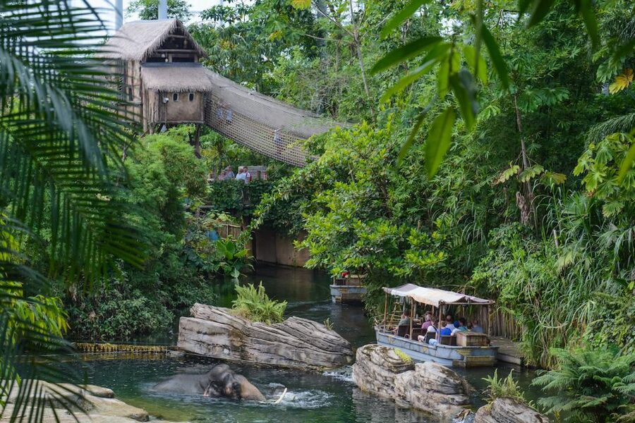 Emmen: Wildlands Adventure Zoo and Rimbula River Boat Ride - Animal presentations add useful context