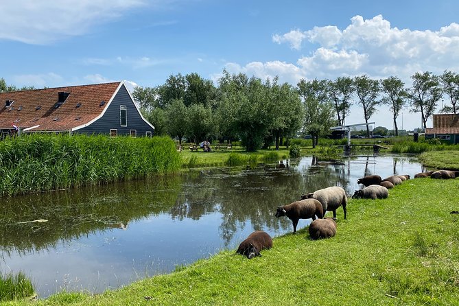 Escape Amsterdam: E-Bike to Zaanse Schans Windmills & Zaandam - Why this ride is different from a standard Amsterdam bike tour