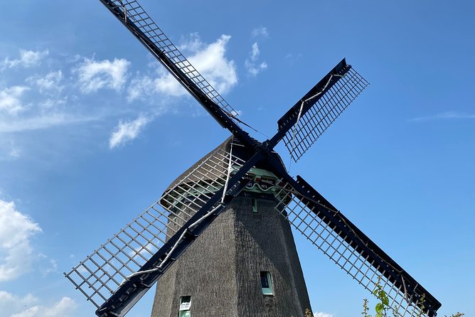 Escape Amsterdam: E-Bike to Zaanse Schans Windmills & Zaandam - Zaanse Schans with 75 minutes to explore