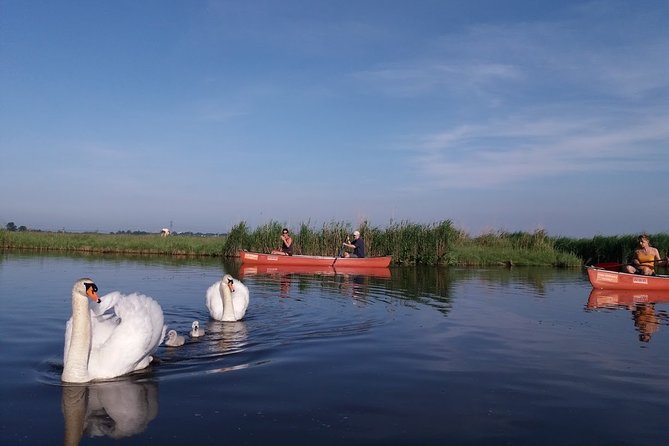 Fresh nose tour with the canoe through the nature near Amsterdam - Entering the Natura 2000 reserve by boat