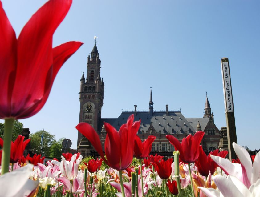 From Amsterdam: Guided Trip to Rotterdam, Delft & The Hague - Rotterdam: sharp angles and city-scale architecture