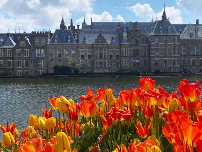 From Amsterdam: Guided Trip to Rotterdam, Delft & The Hague - Meeting at Amsterdam Central Station