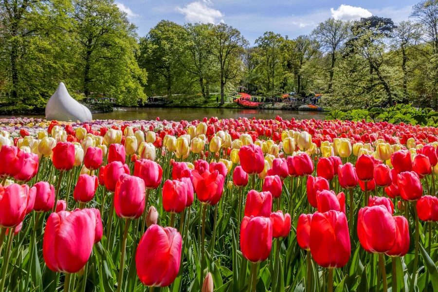 From Amsterdam: Keukenhof and Dutch Countryside Tour - Finding the departure point at Central Station