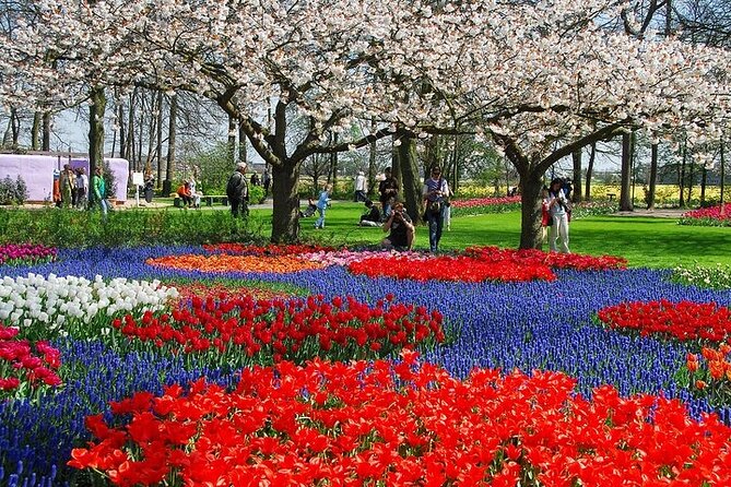 From Amsterdam: Keukenhof Gardens Ticket and Transfer - Why Keukenhof is worth a half-day from Amsterdam