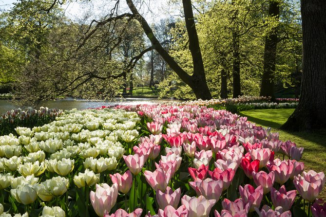 From Amsterdam: Keukenhof Gardens Ticket and Transfer - Flower timing matters more than the calendar suggests