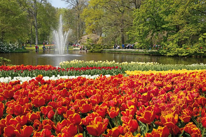 From Amsterdam: Keukenhof Gardens Ticket and Transfer - Who will enjoy this Keukenhof package most?
