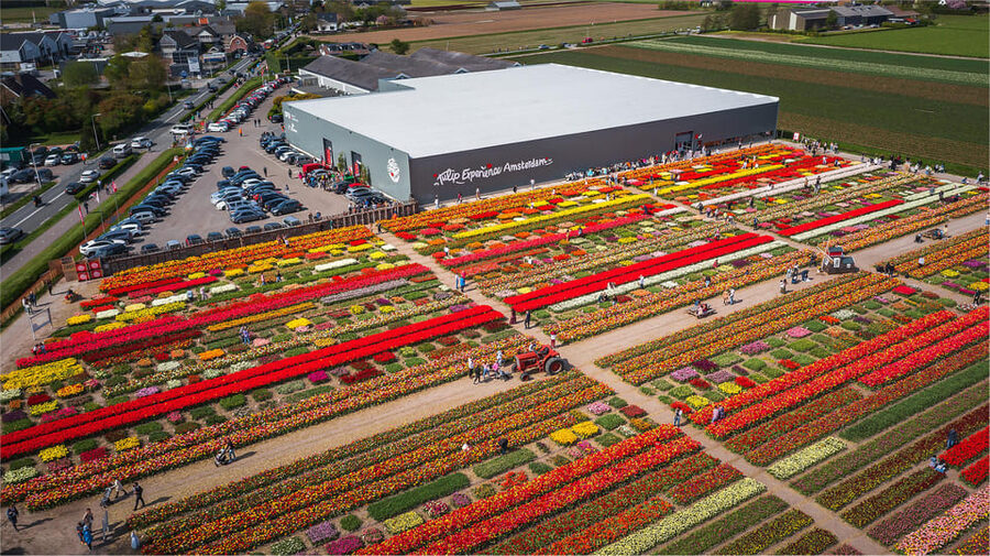 From Amsterdam: Keukenhof Gardens & Tulip Experience Tour - Making the most of 32 hectares at Keukenhof