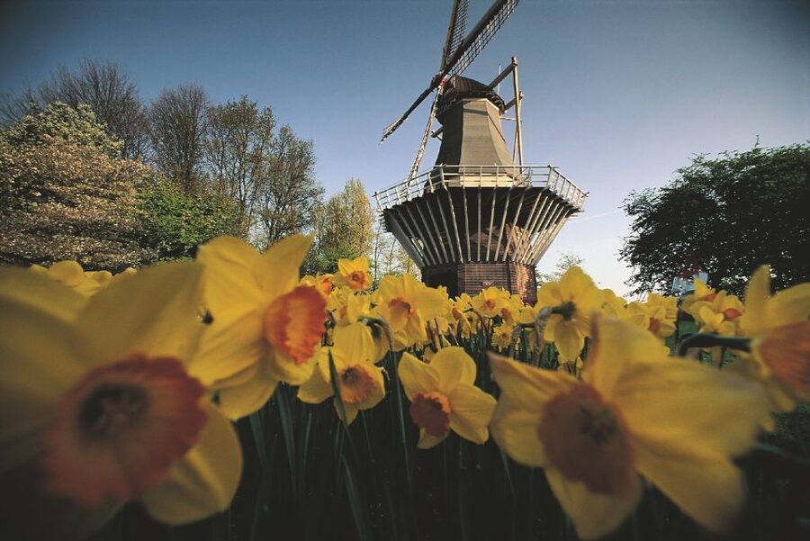 From Amsterdam: Keukenhof Gardens & Tulip Experience Tour - How much walking and how comfortable is the bus?