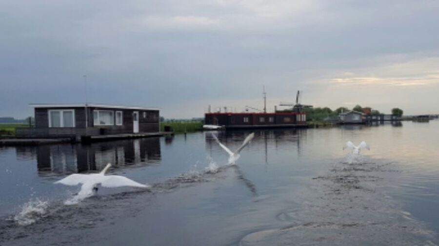 From Katwijk: Kaag Lakes Cruise - The Groene Hart from the deck