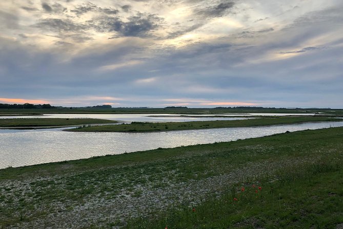 Full day tour to Texel - Friesian Islands - from Amsterdam - Five hours to explore Texel
