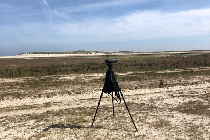 Full day tour to Texel - Friesian Islands - from Amsterdam - Beaches, dunes, and the low-tide experience