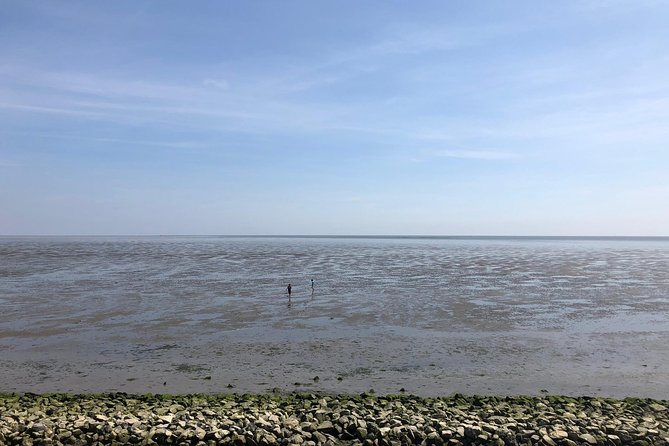 Full day tour to Texel - Friesian Islands - from Amsterdam - Birds, nature reserves, and the island’s quieter side