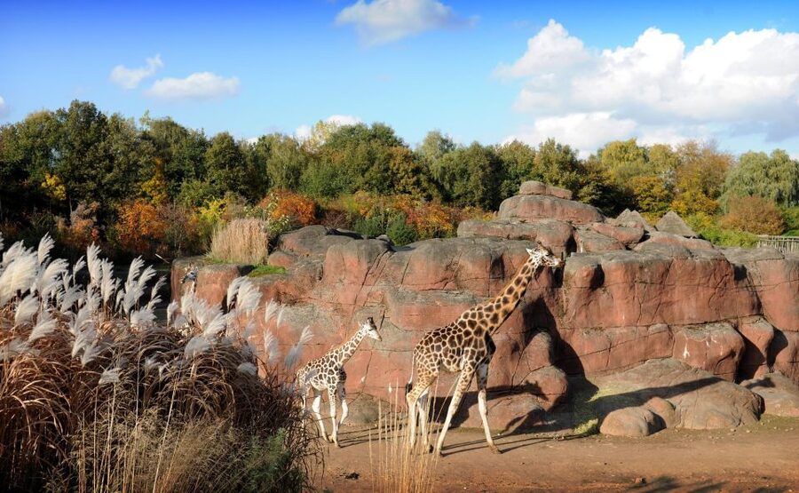 GaiaZOO Entry Ticket - Why GaiaZOO feels different from a standard zoo