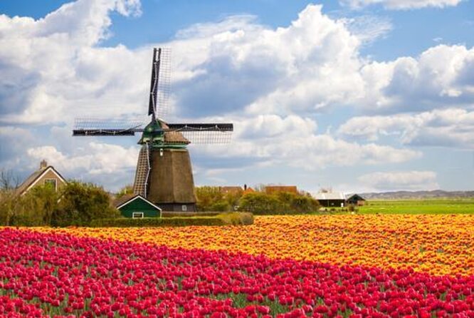 Giethoorn, Afsluitdijk, Zaanse Schans Day Tour Incl Hotel Pick Up - At a glance: three Dutch icons in one day