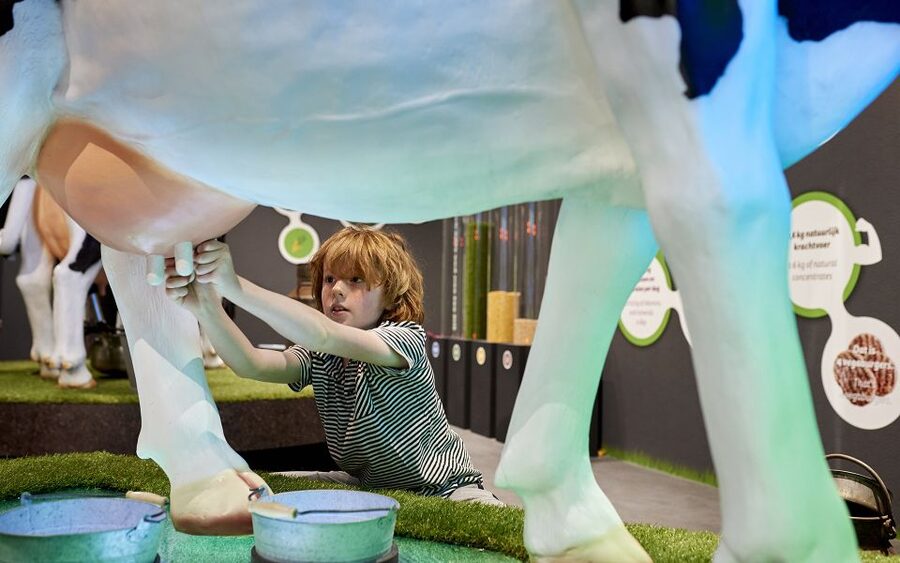 Gouda: Gouda Cheese Experience Entry Ticket - Booking flexibility and practical planning