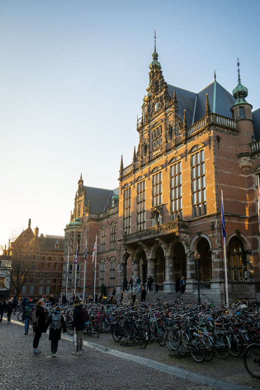 Groningen: Walking Tour with Local Guide - Key points to know before you book