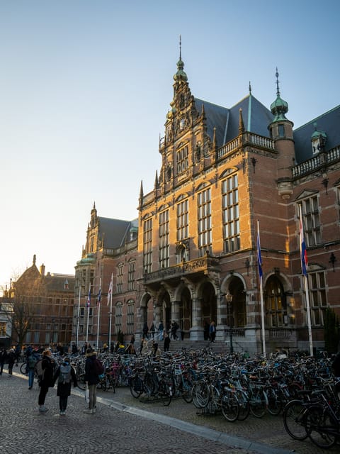 Groningen: Walking Tour with Local Guide - Price, pace, and who gets good value