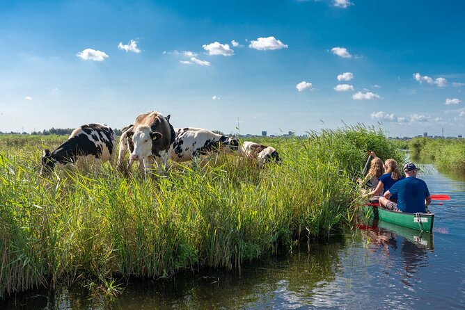 Guided Canoe Adventure with Picnic Lunch in Waterland from Amsterdam - Key things to know before you book