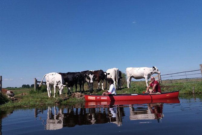 Guided Canoe Adventure with Picnic Lunch in Waterland from Amsterdam - Is $112.84 a fair price?