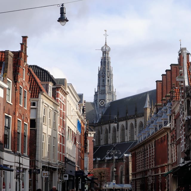 Haarlem: City Highlights Walking Tour - Teylers Museum and Haarlem’s curious minds