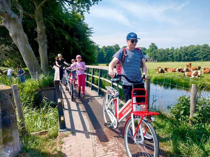 Haarlem Highlights Bike Tour - Haarlem Highlights Bike Tour at a Glance