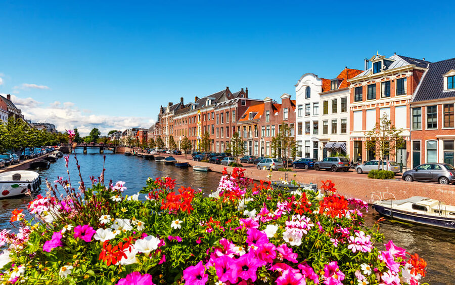Haarlem Highlights Bike Tour - Practical Tips for a Better Ride