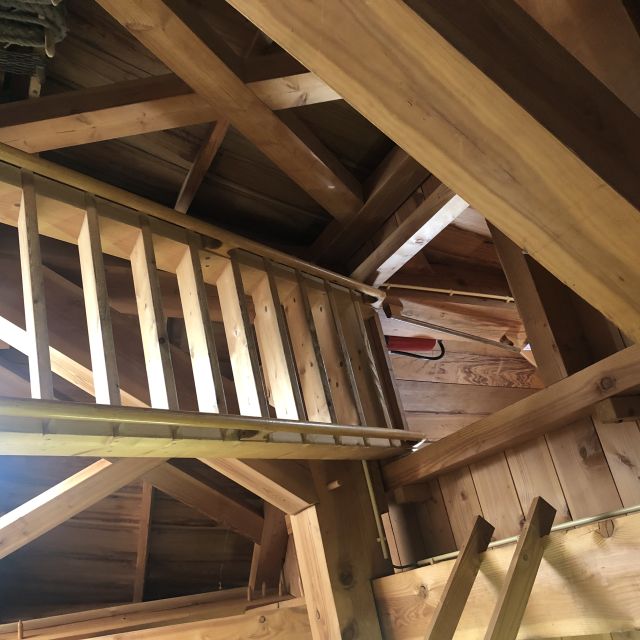 Haarlem: Windmill 'De Adriaan' Guided Tour - Key points to know before you climb