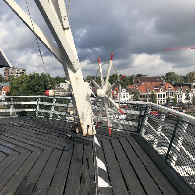 Haarlem: Windmill 'De Adriaan' Guided Tour - What the guides add to the visit